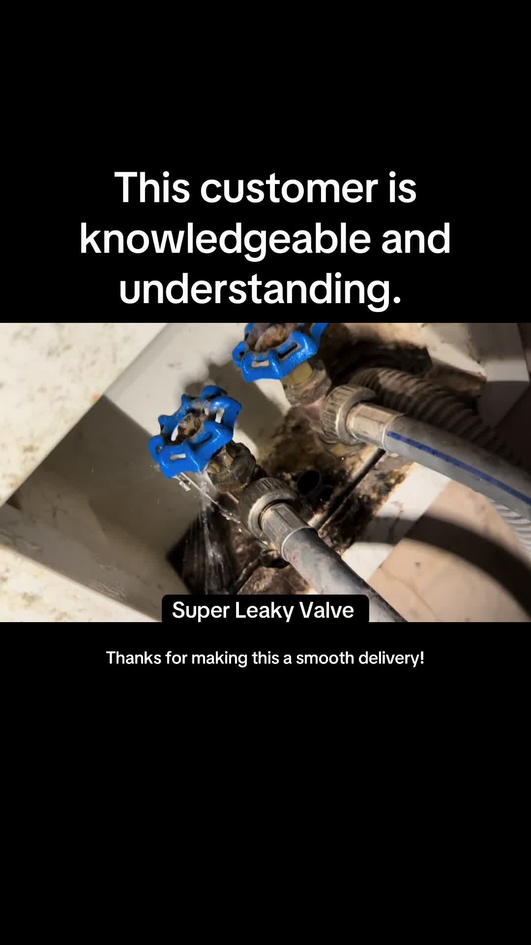 @deliverydantheman