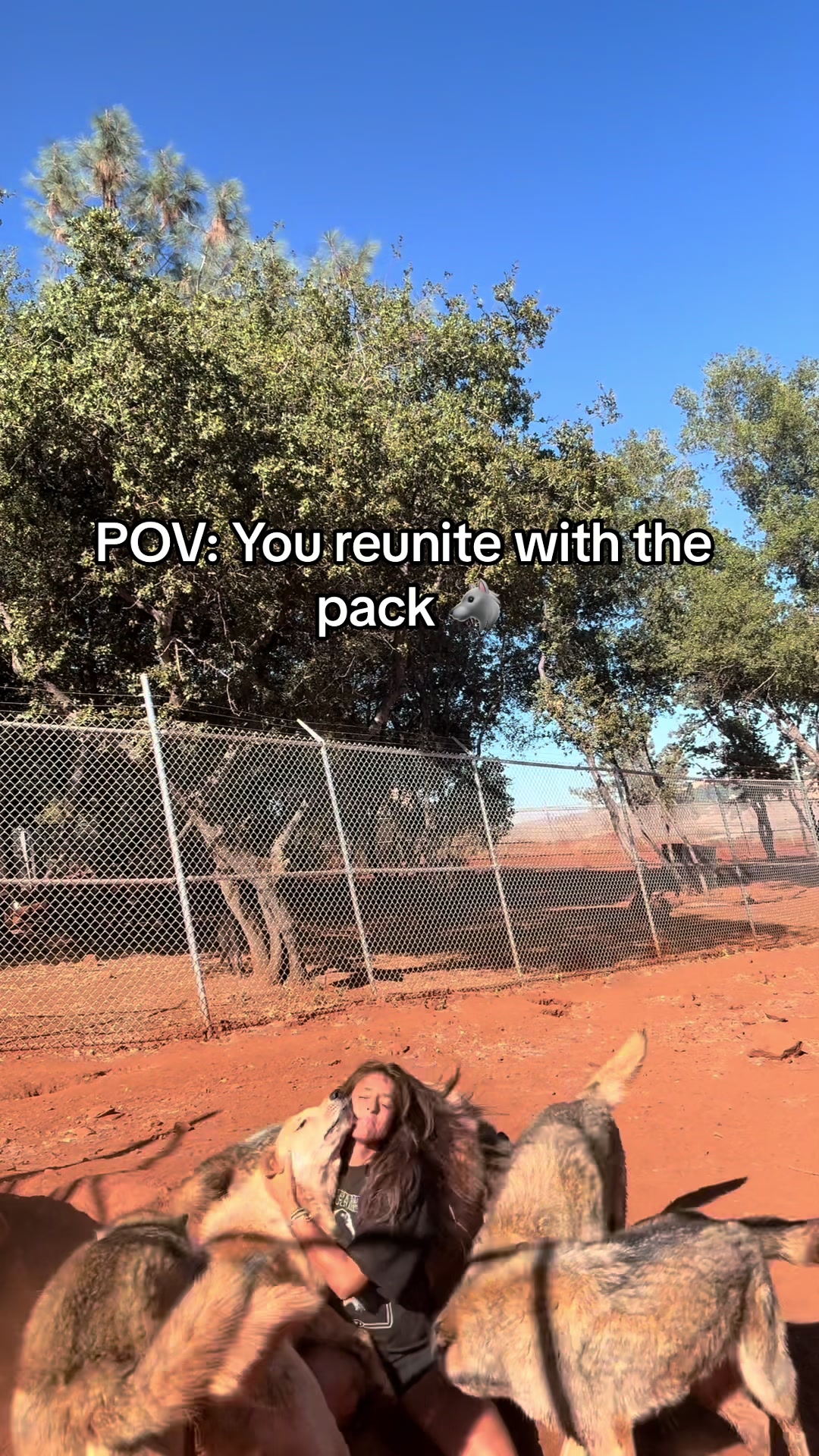 @naniloveswolves
