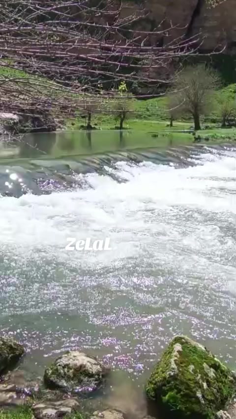 @ZeLaL