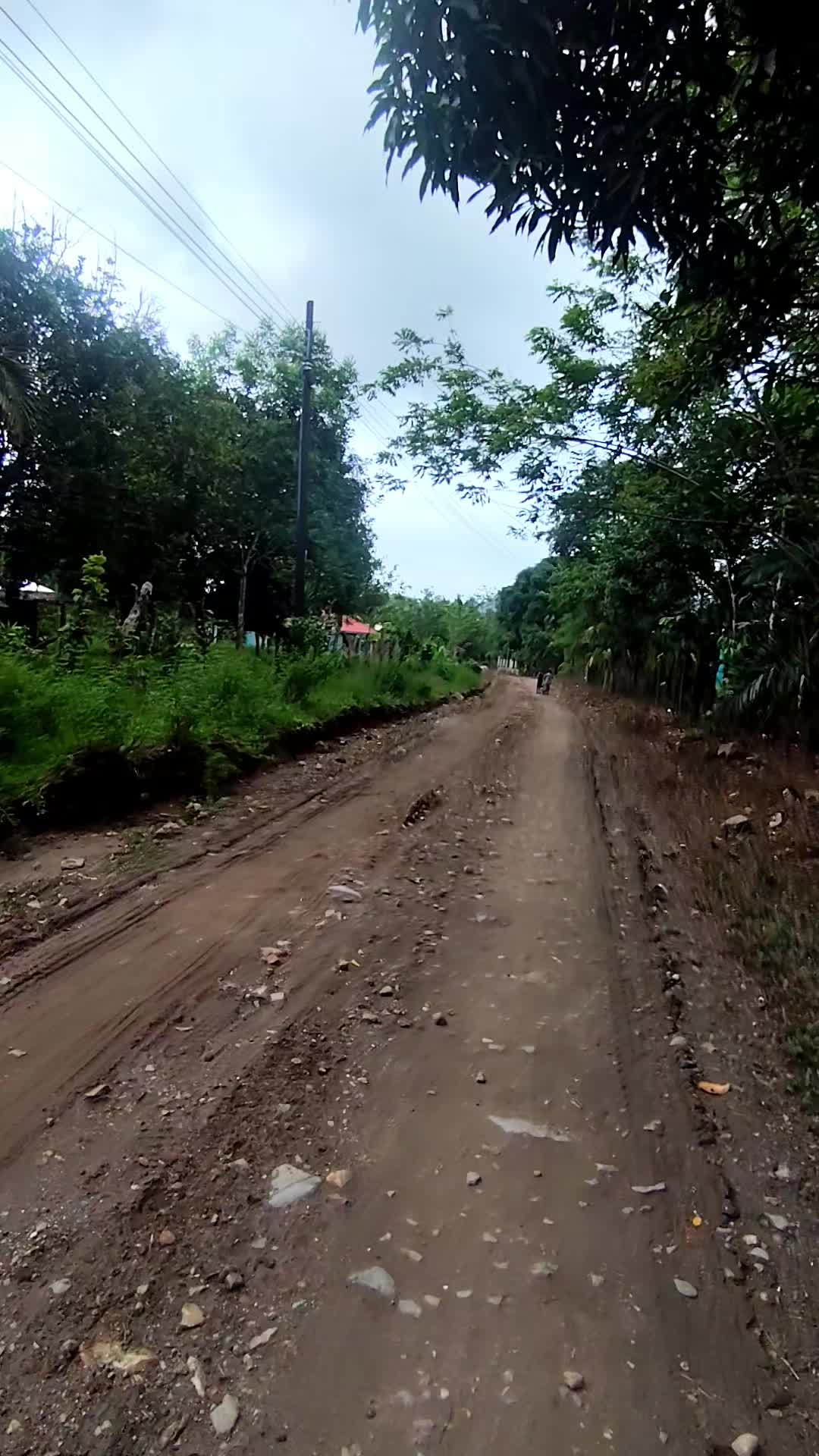 @Diaz:)
