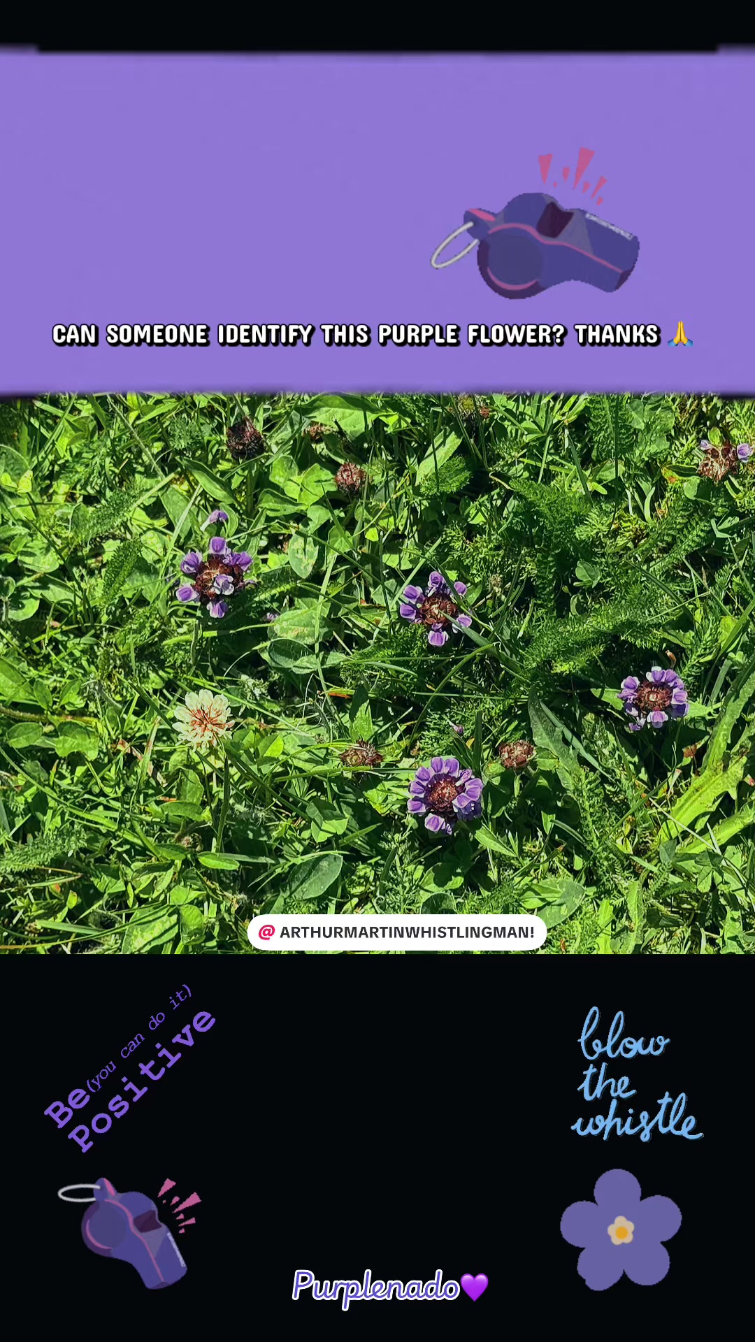 @Purplenado