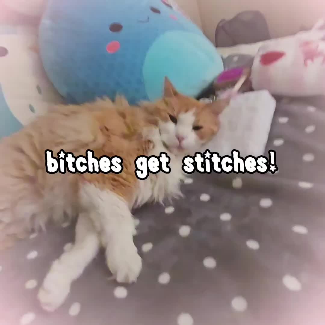 @Caillie