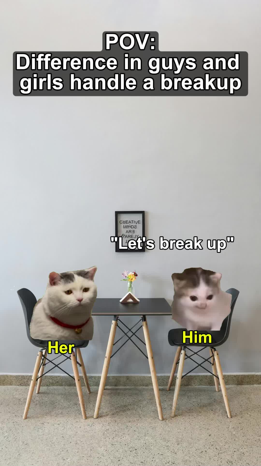 @Meme Meow 🐈🐈⬛