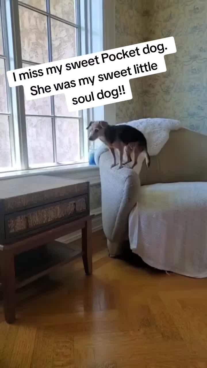 @MrsMac