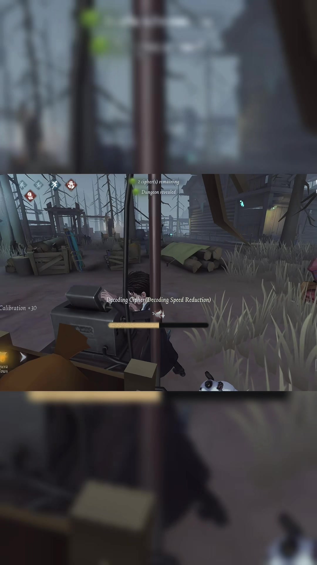 @~WildCard~