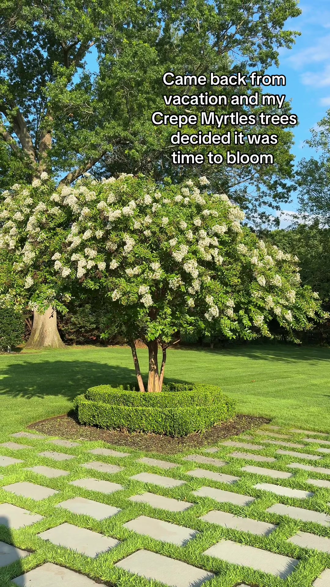 @homewithlogan
