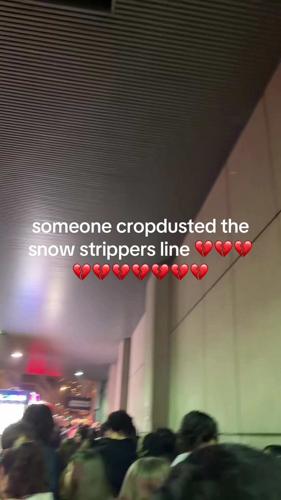 @liv - ˕ •マ