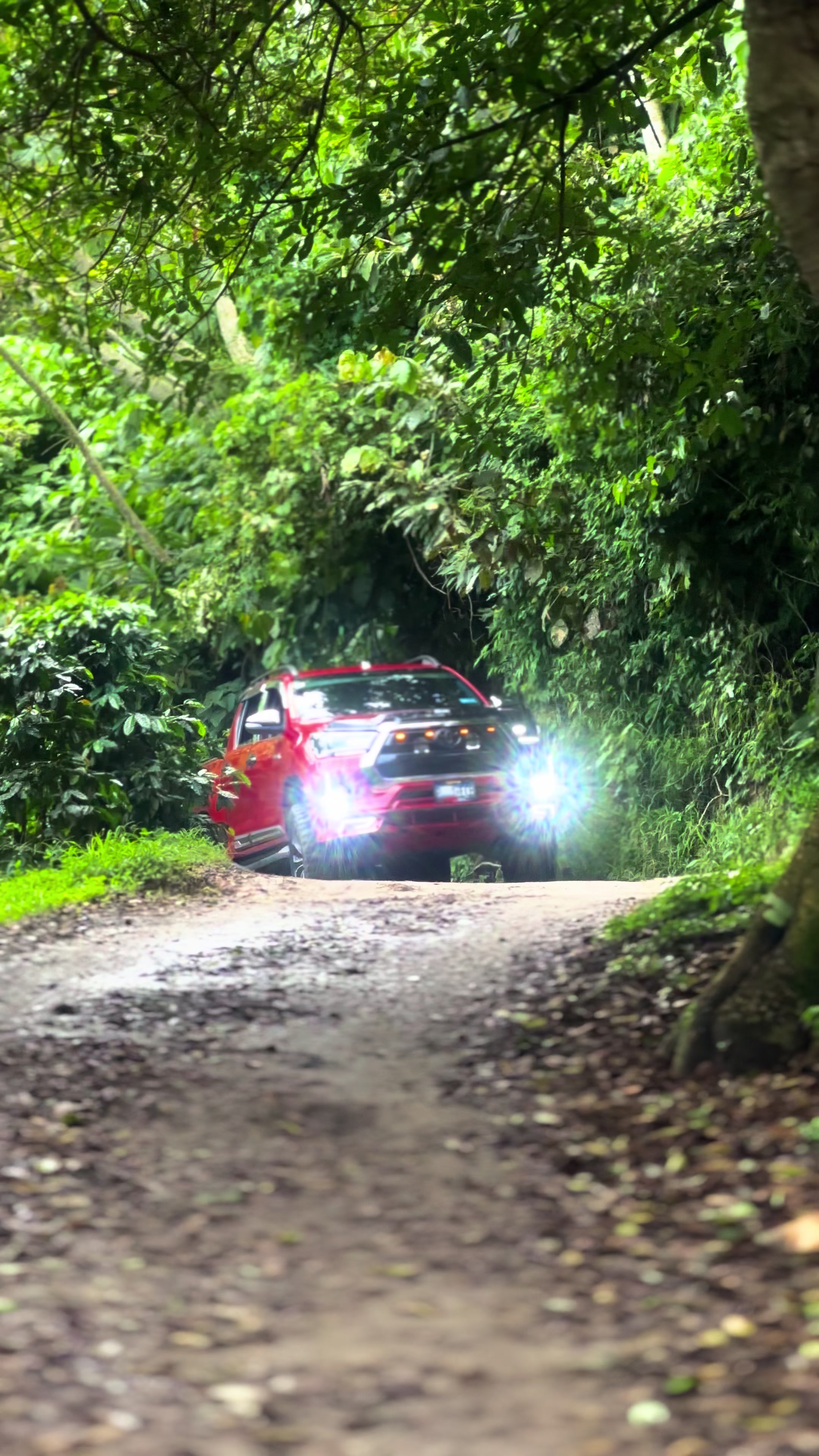 @FRIENDS HILUX SV 🇸🇻