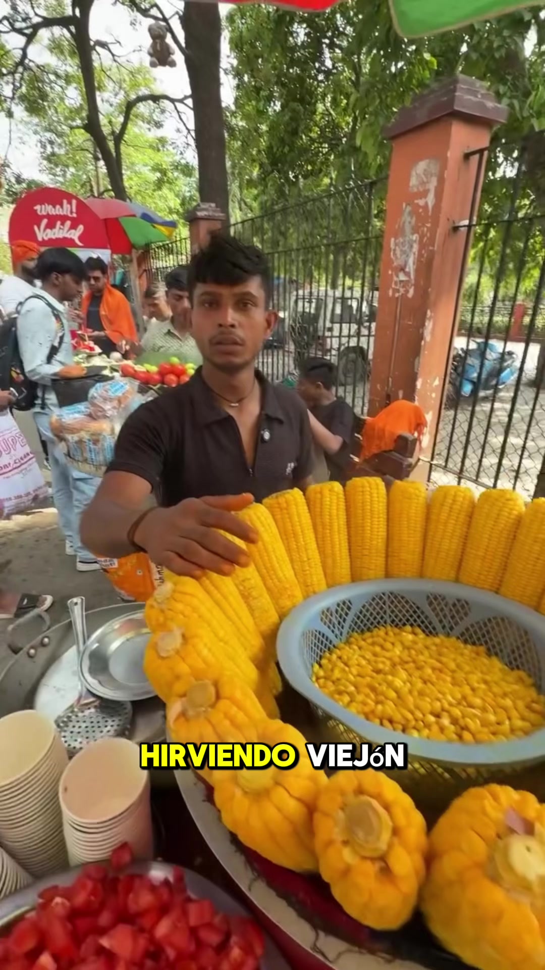 @El Kalesmaris