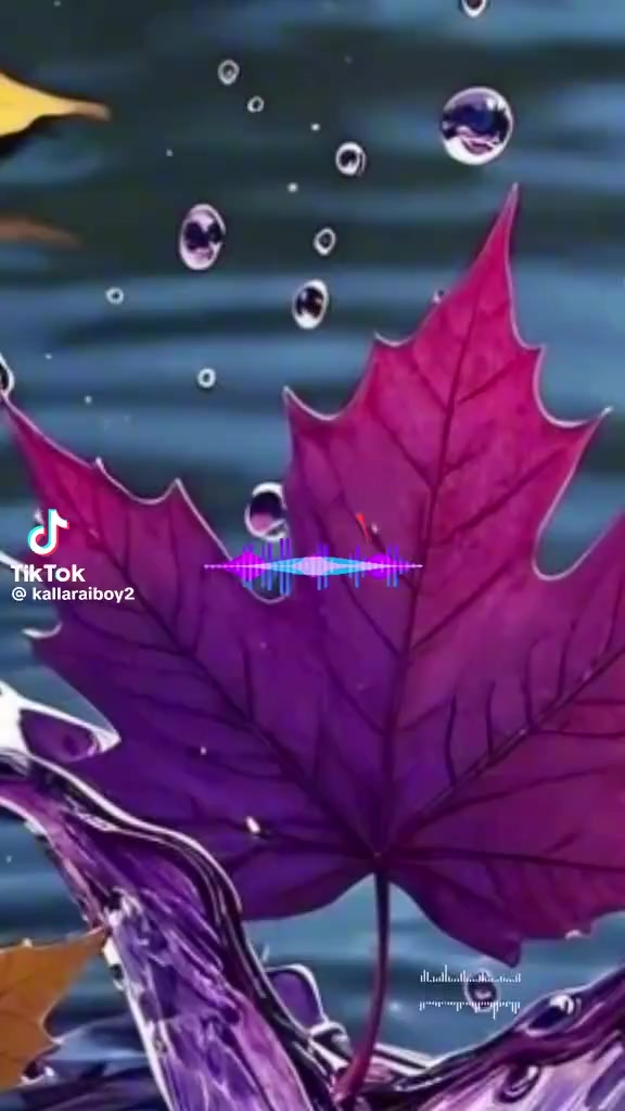 @kumaresh786.AB+🩸