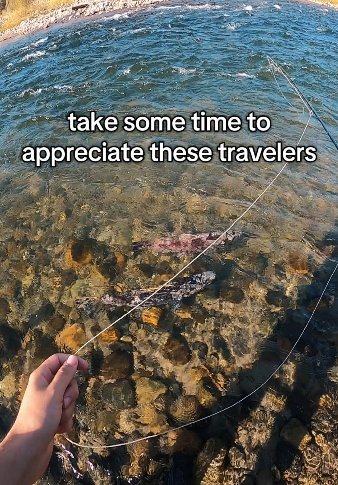 @TroutDoor | Fly Fishing