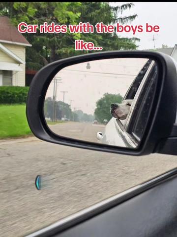 @borderlinefreakofnature