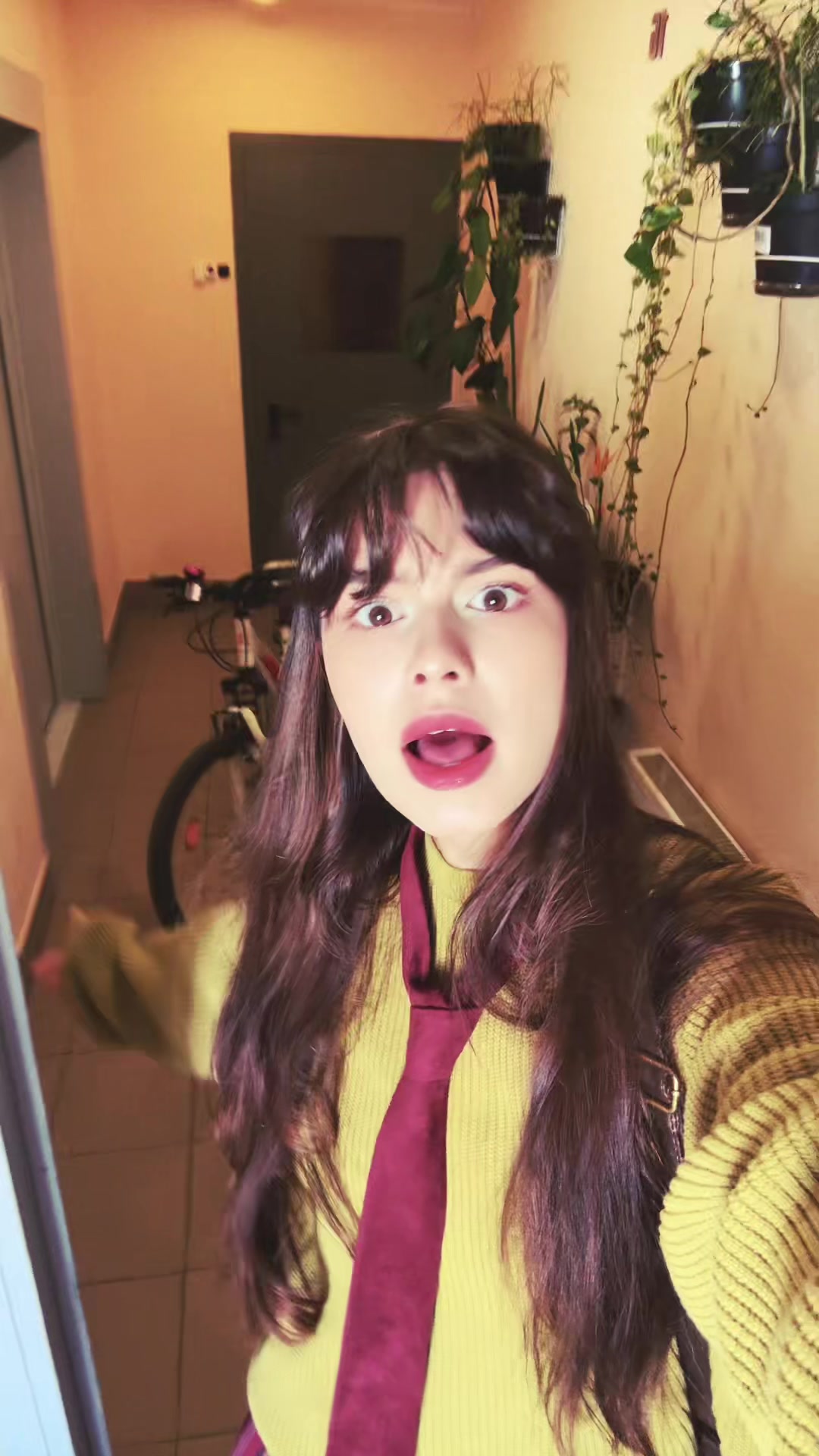 @daragalts