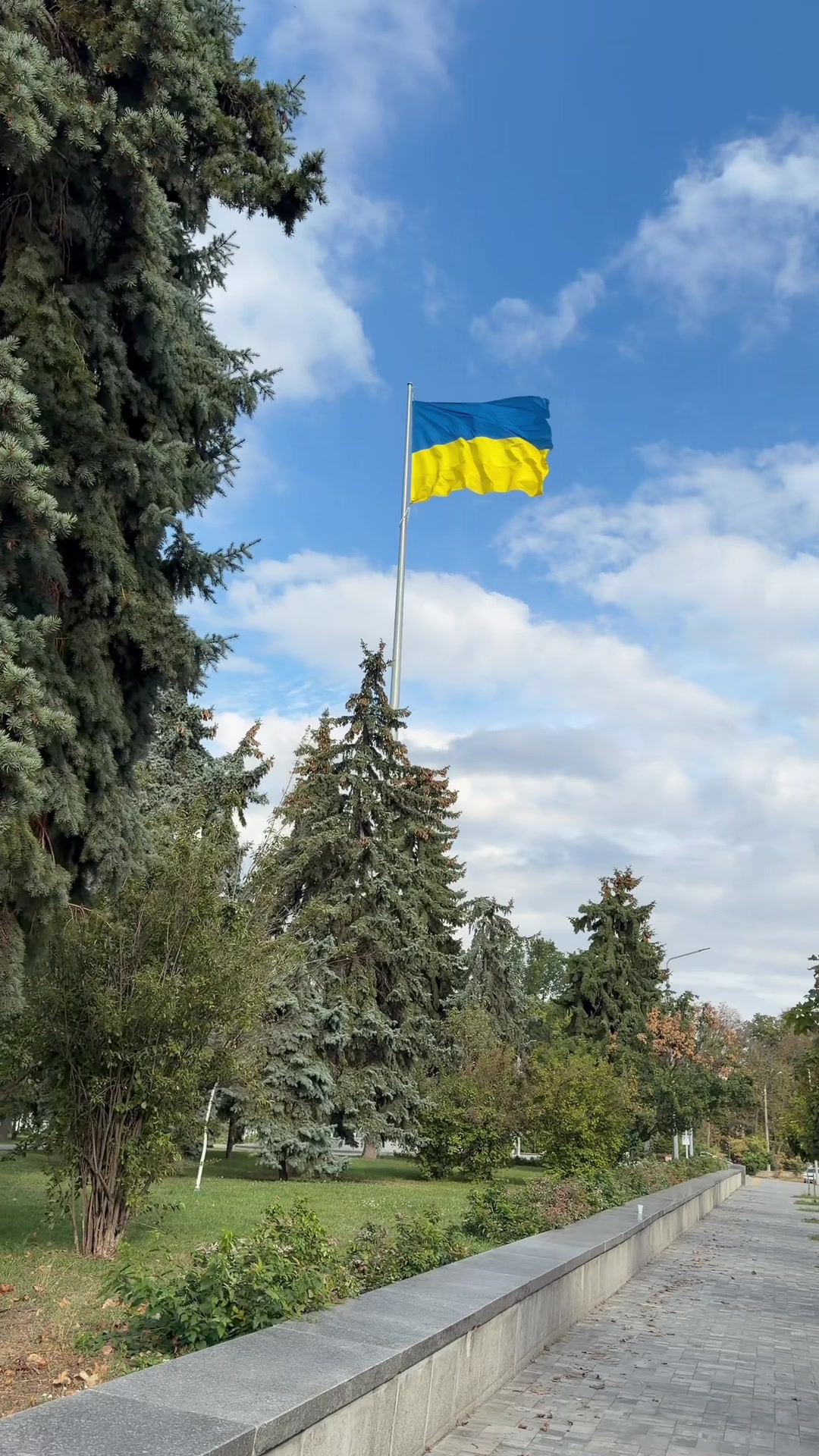 @Вікторія Нечта