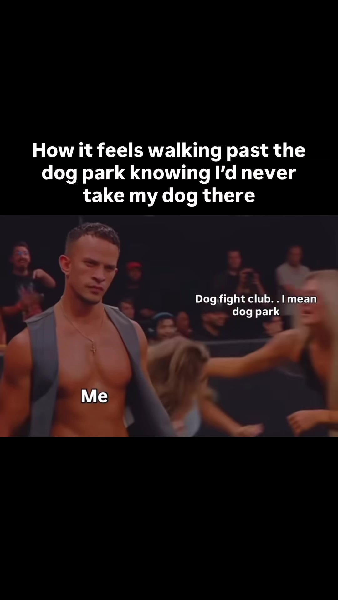@Lobato Dog Training
