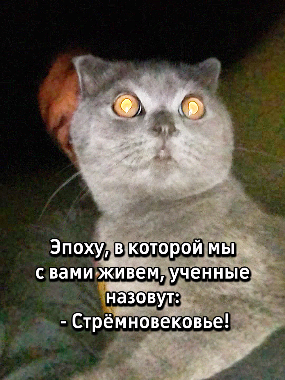 @😻Риччи&Джесси🐈Масик👼&Андрей