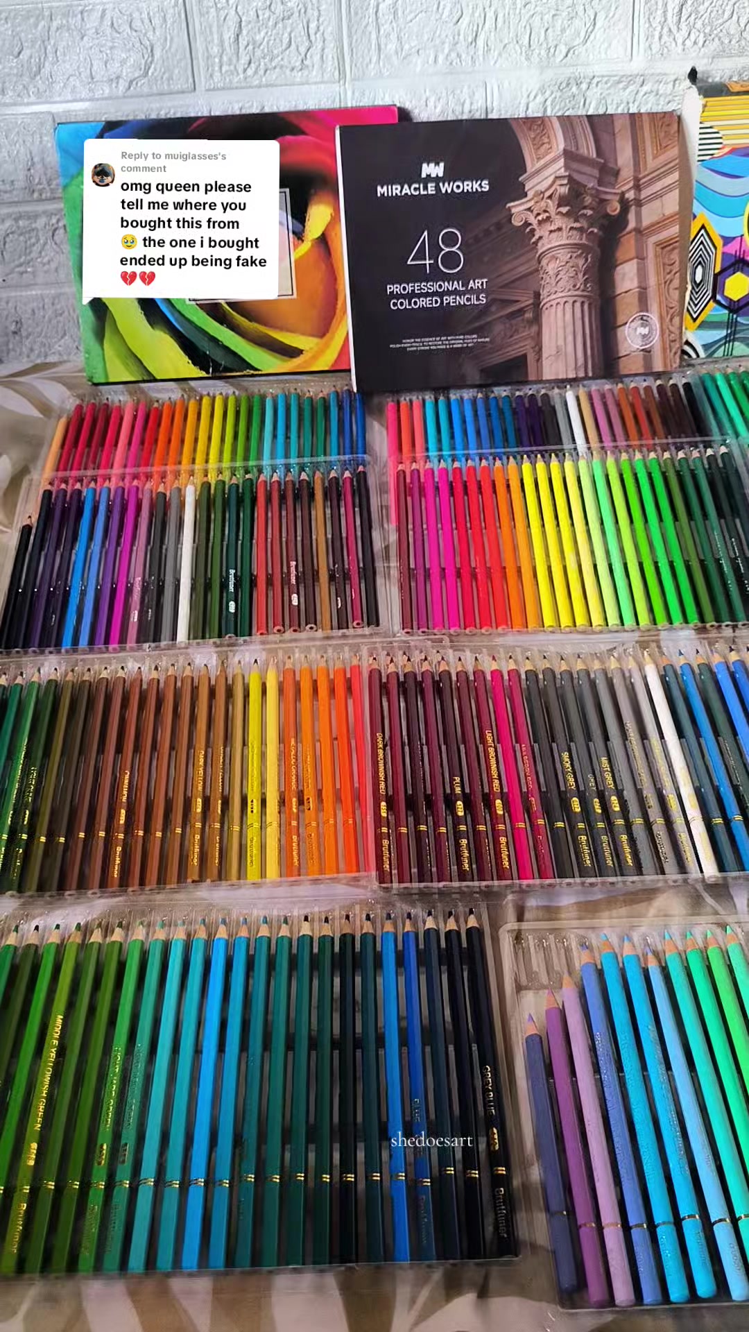 @SheDoes_Art✍️