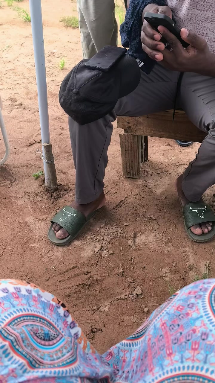 @Makaeeh