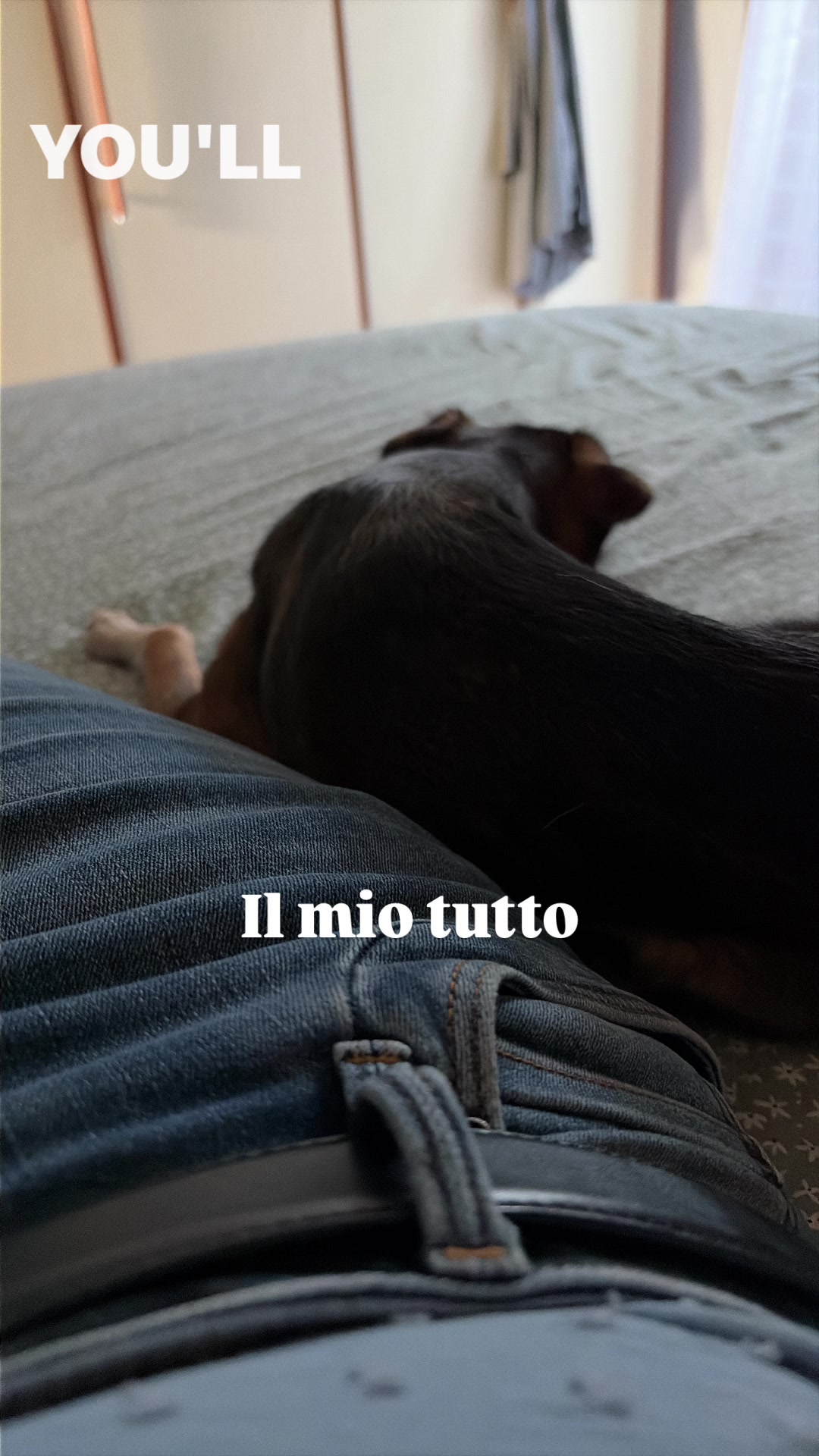 @il mondo_di_Roy