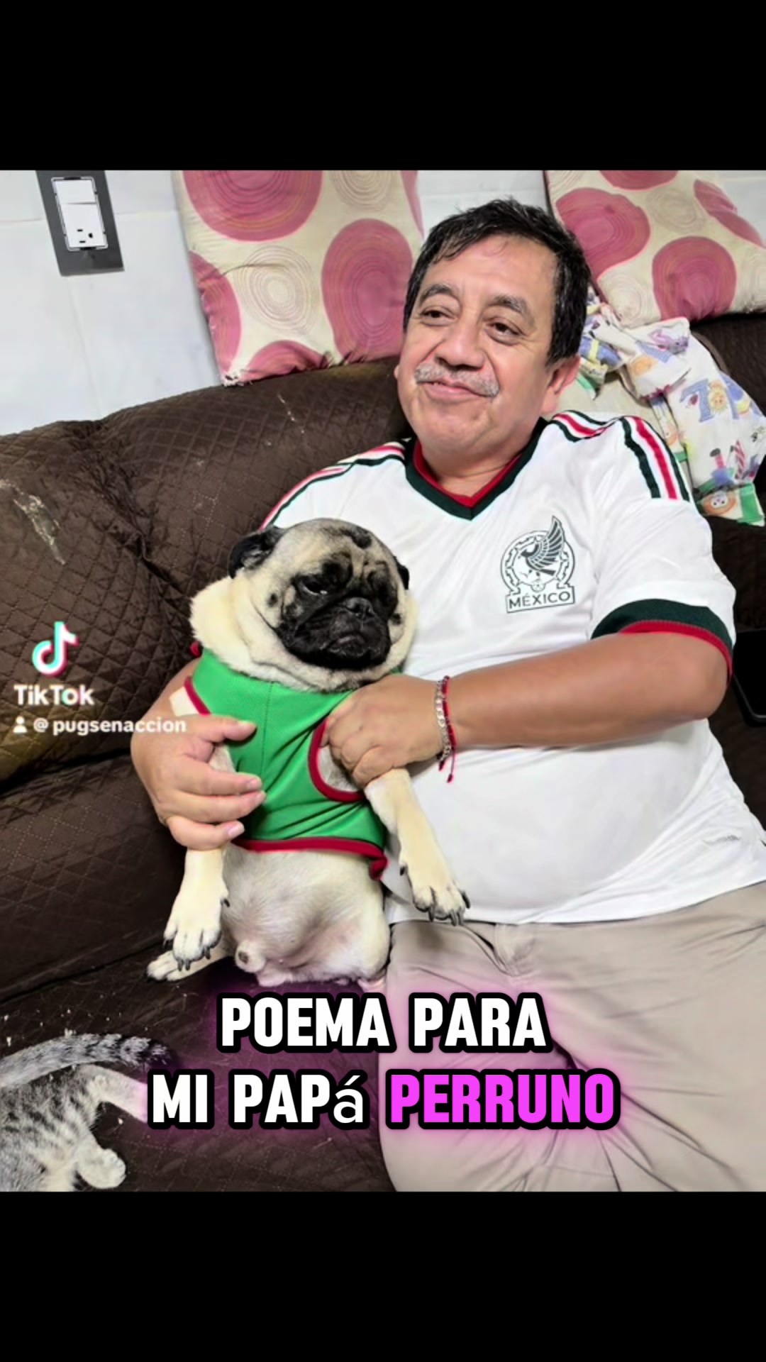 @Pugs en acción 🐶