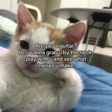 @Alice.cattok