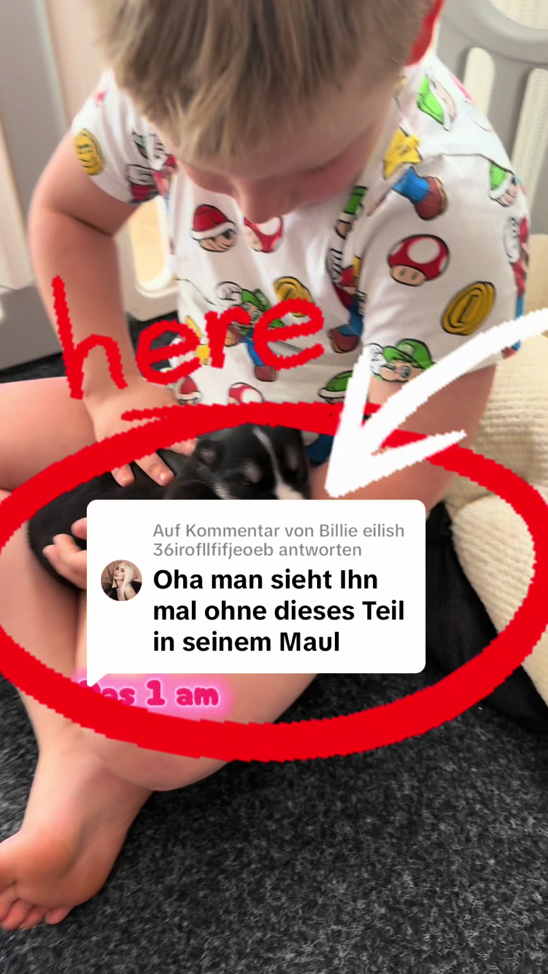 @Mylo_wird_zum_Assistenzhund