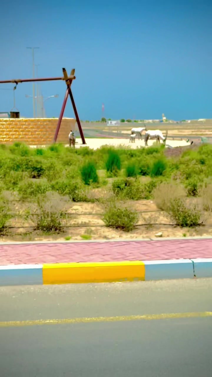 @▄︻̷̿┻̿═━ شاہد سرکانی▄︻̷̿┻̿═━一