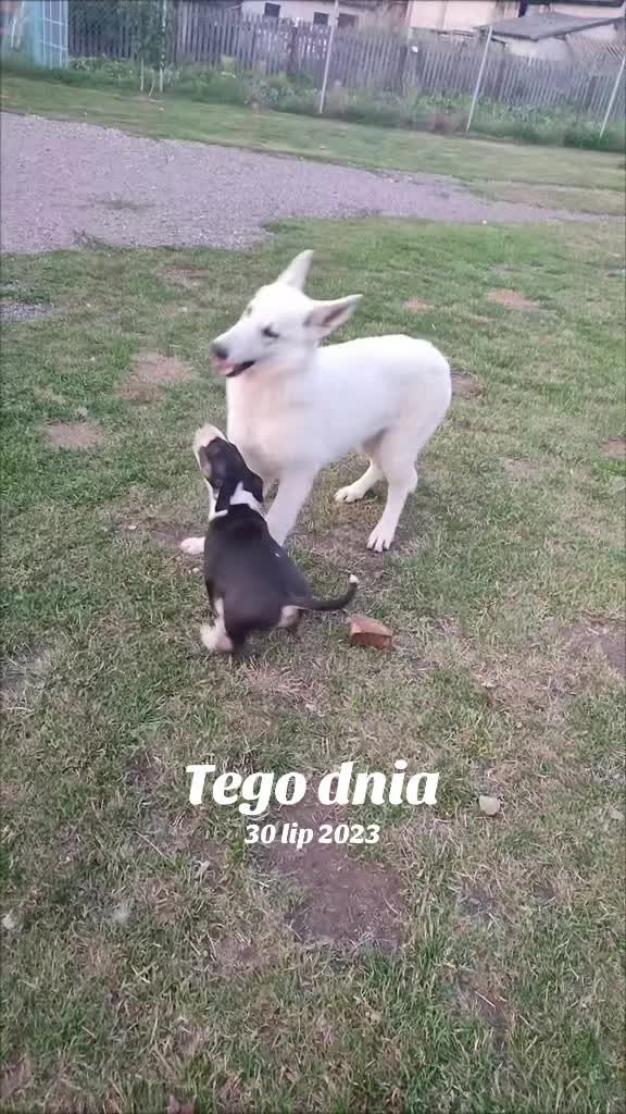 @๐ฅ๐๐๐ฅ๐ฅ๐๐ โ๐๐๐ ๐ฝโ๐๐ฅ