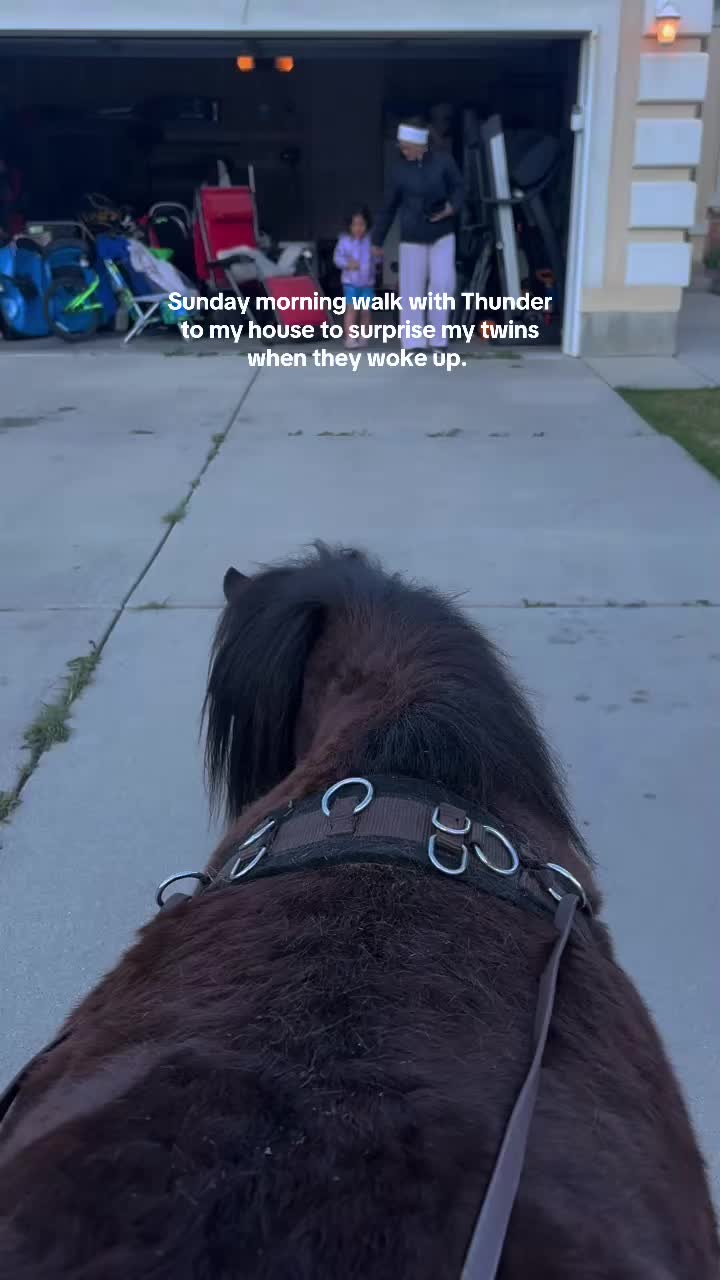 @wild.horsewoman