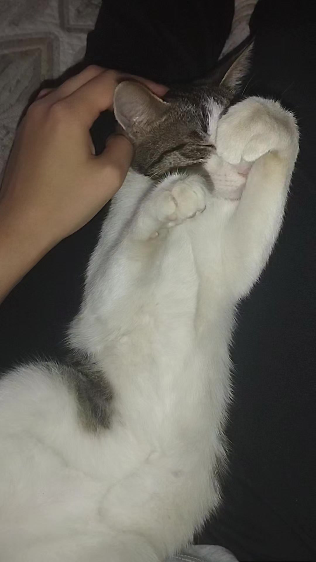 @miniş