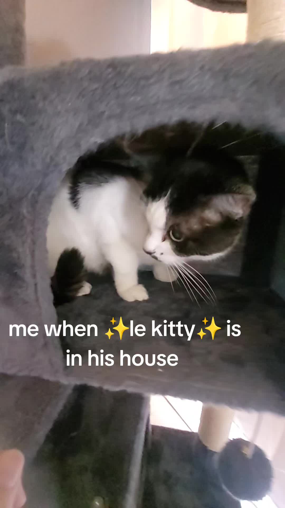 @ŁŬĈ&ordf;-&Ccedil;H&Auml;Ṅ