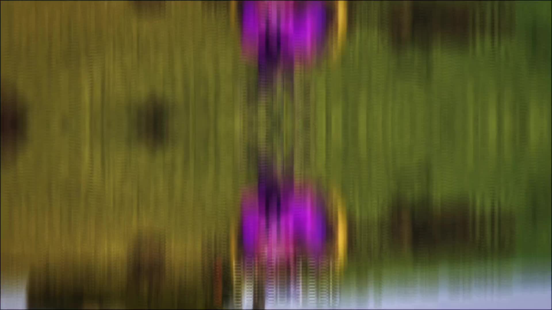 @๐๐ต๐ช๐ฝ๐ฒ๐ท ๐๐ช๐ท๐น๐ช๐ฐ๐ฎ