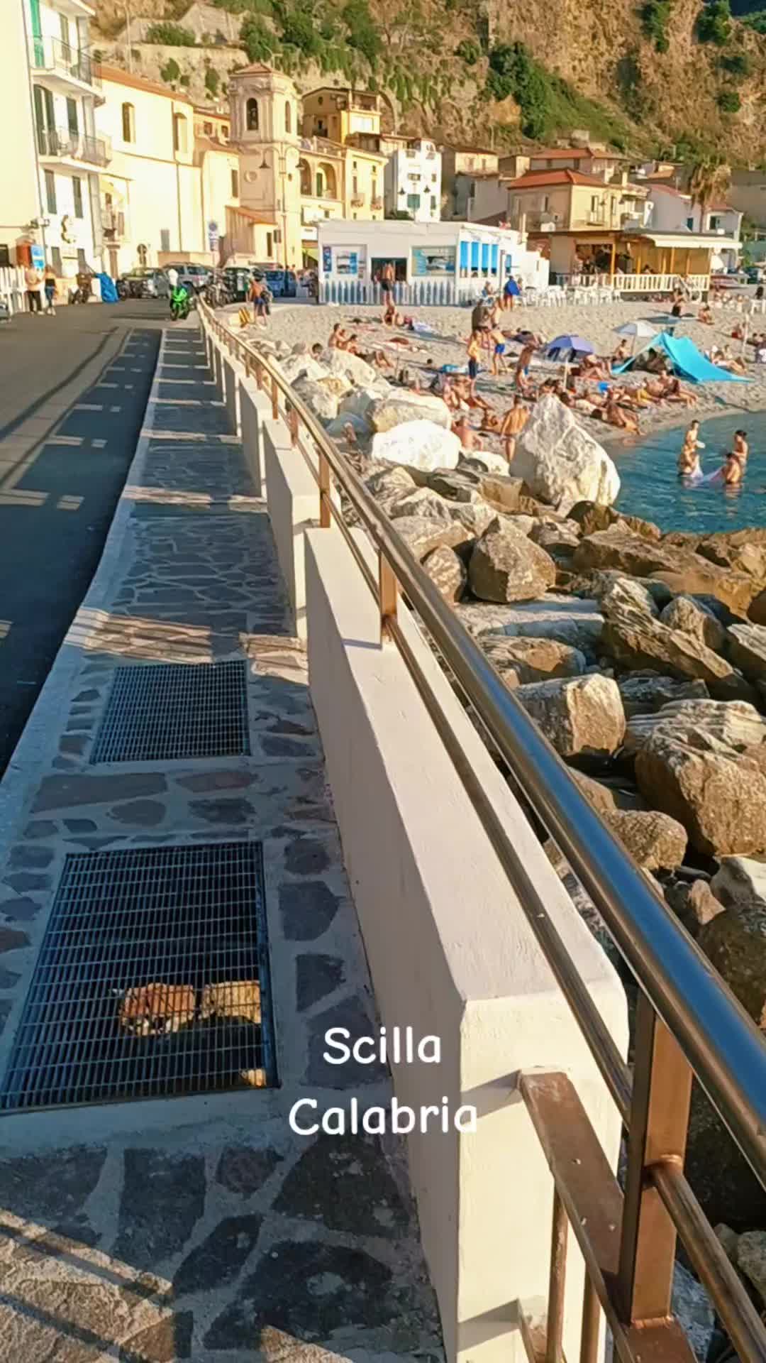 @costaaustraliano