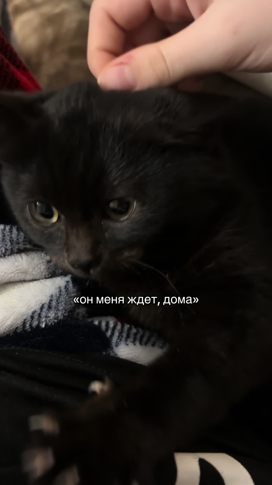 @𝒊𝒍𝒊𝒌𝒆𝒊𝒕𝒛𝒚𝟏🇦🇲моня@