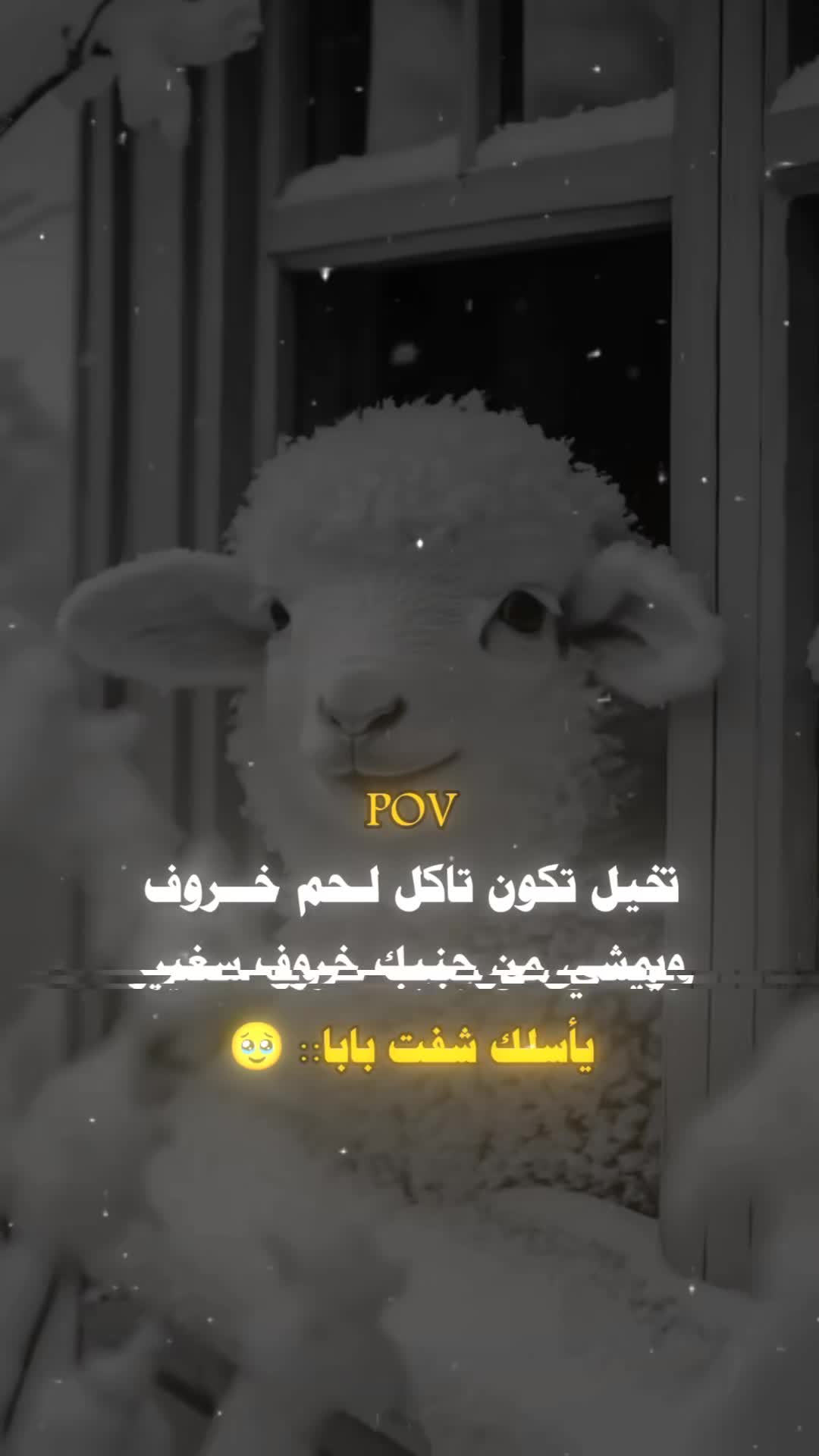 @♛ڛـﮪم♛