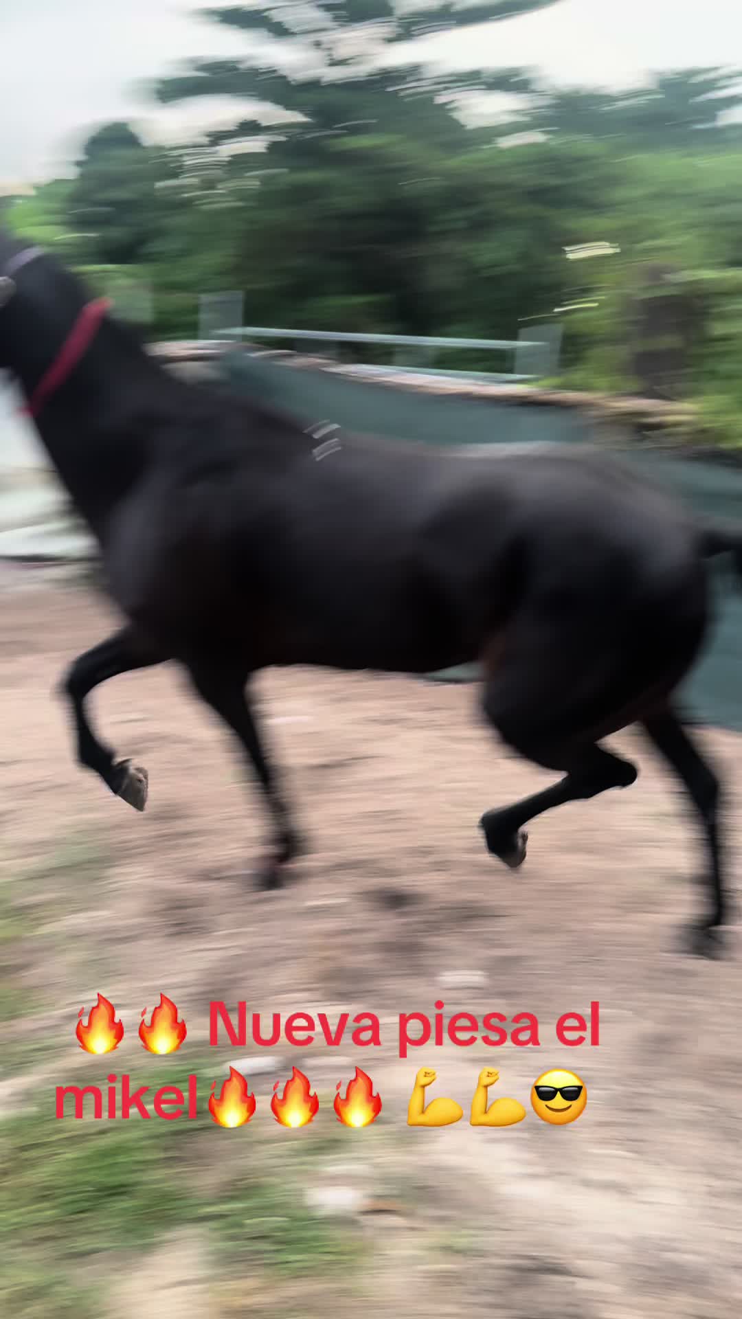 @🔥🔥❤️EL FEO ❤️🔥🔥