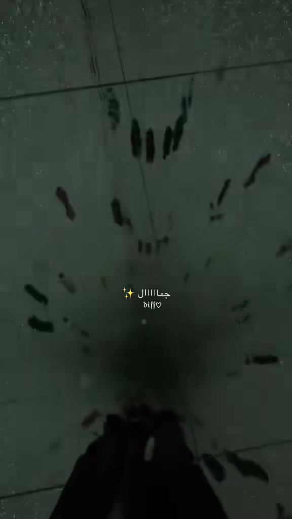 @๐พโ๐ข๐๐ข๐๐ธโ๏ธ