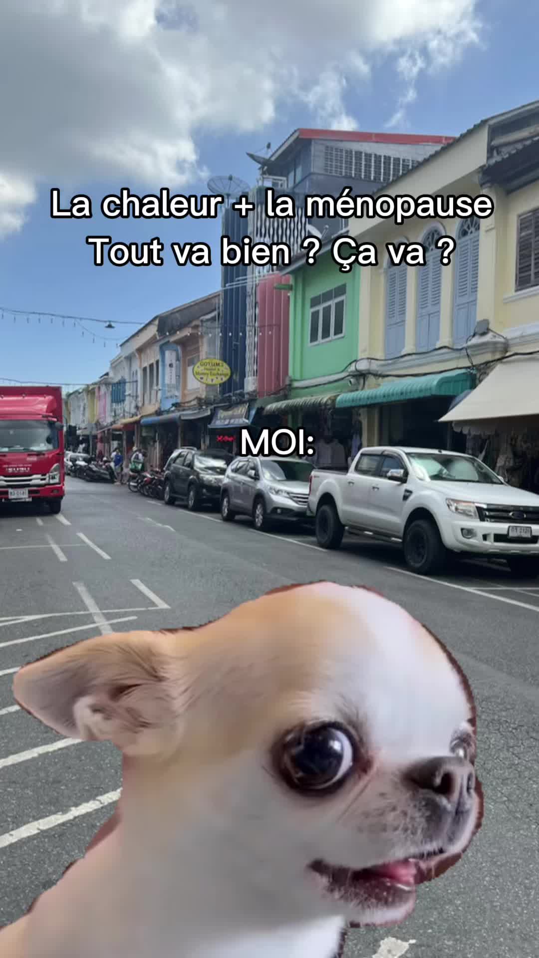 @Magou1981