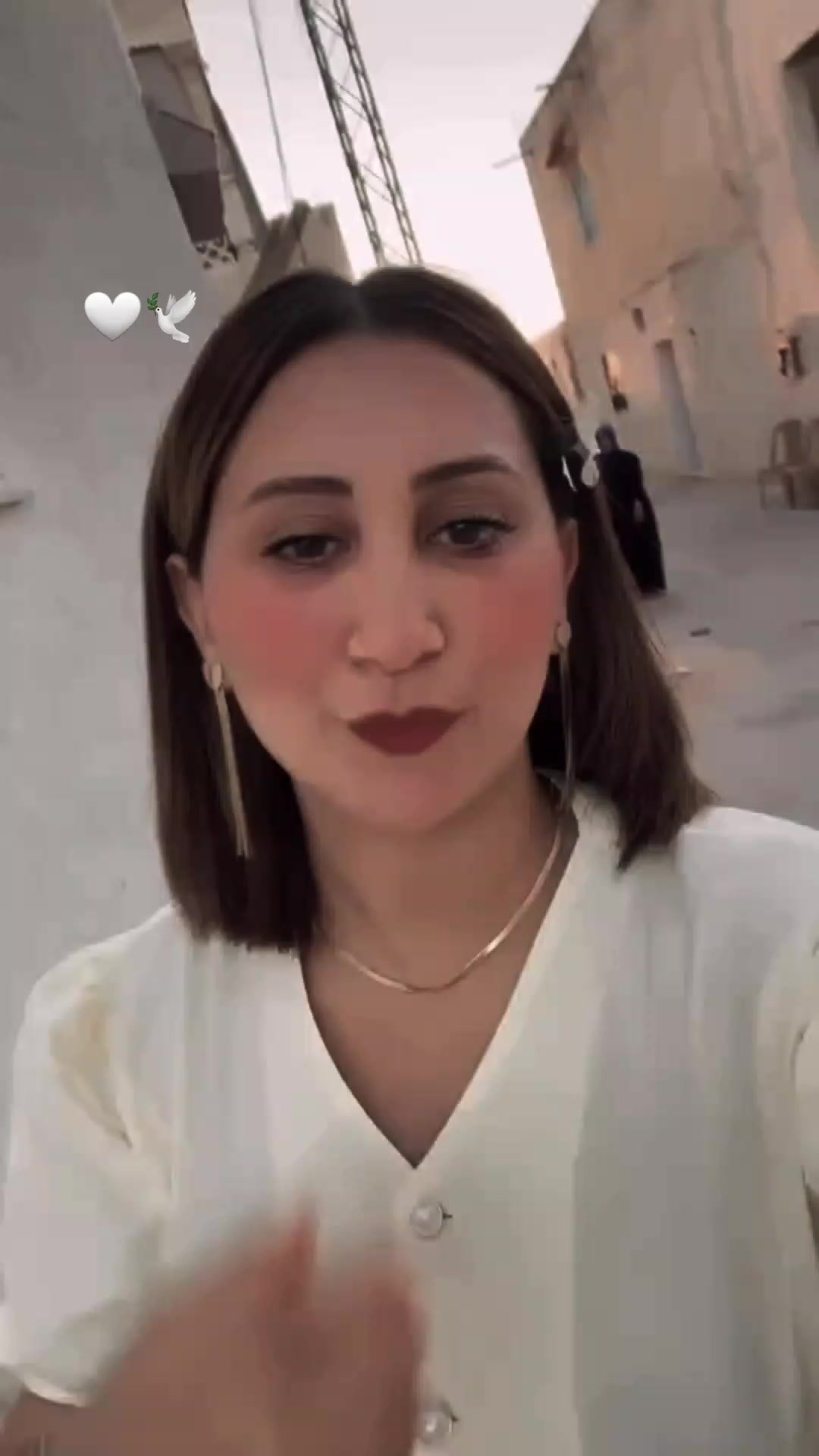 @Manel Hazami