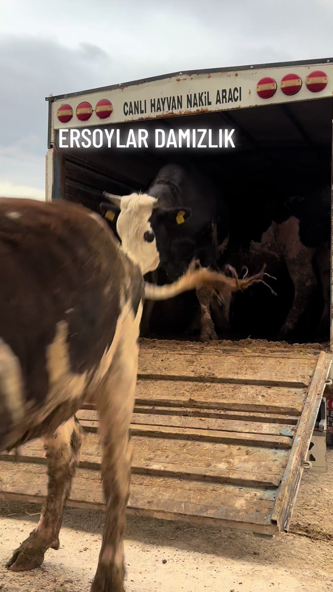 @ERSOYLAR 68