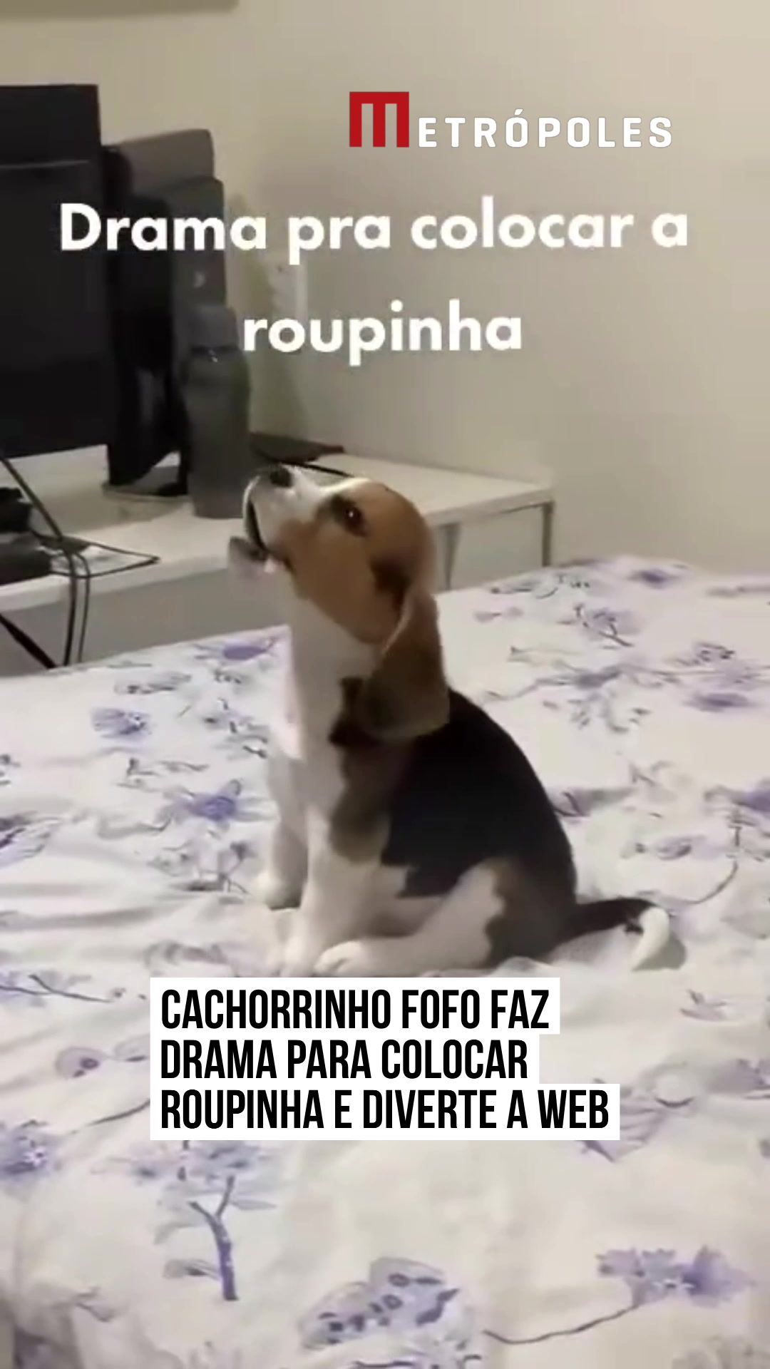 @Metrópoles Oficial