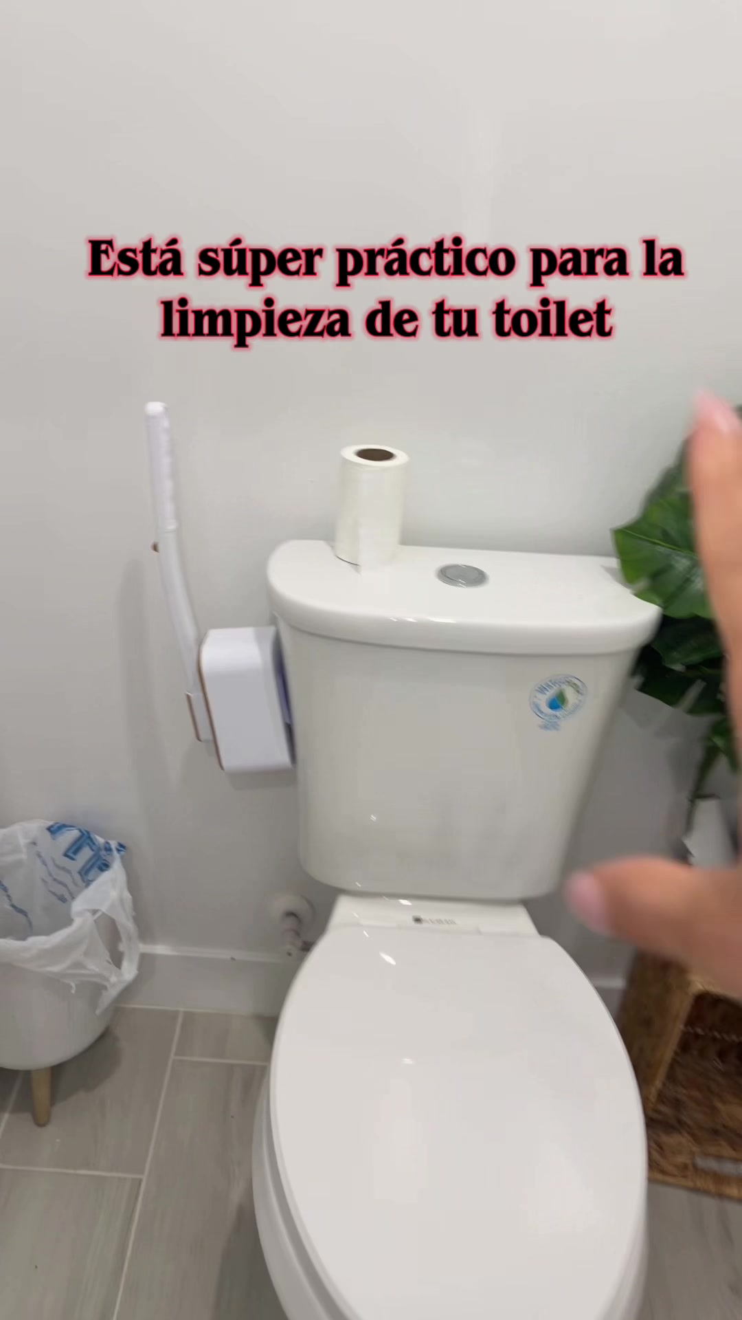 @alivalenciall