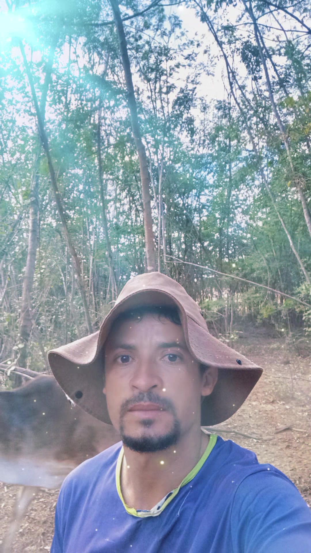 @Paulo Henrique