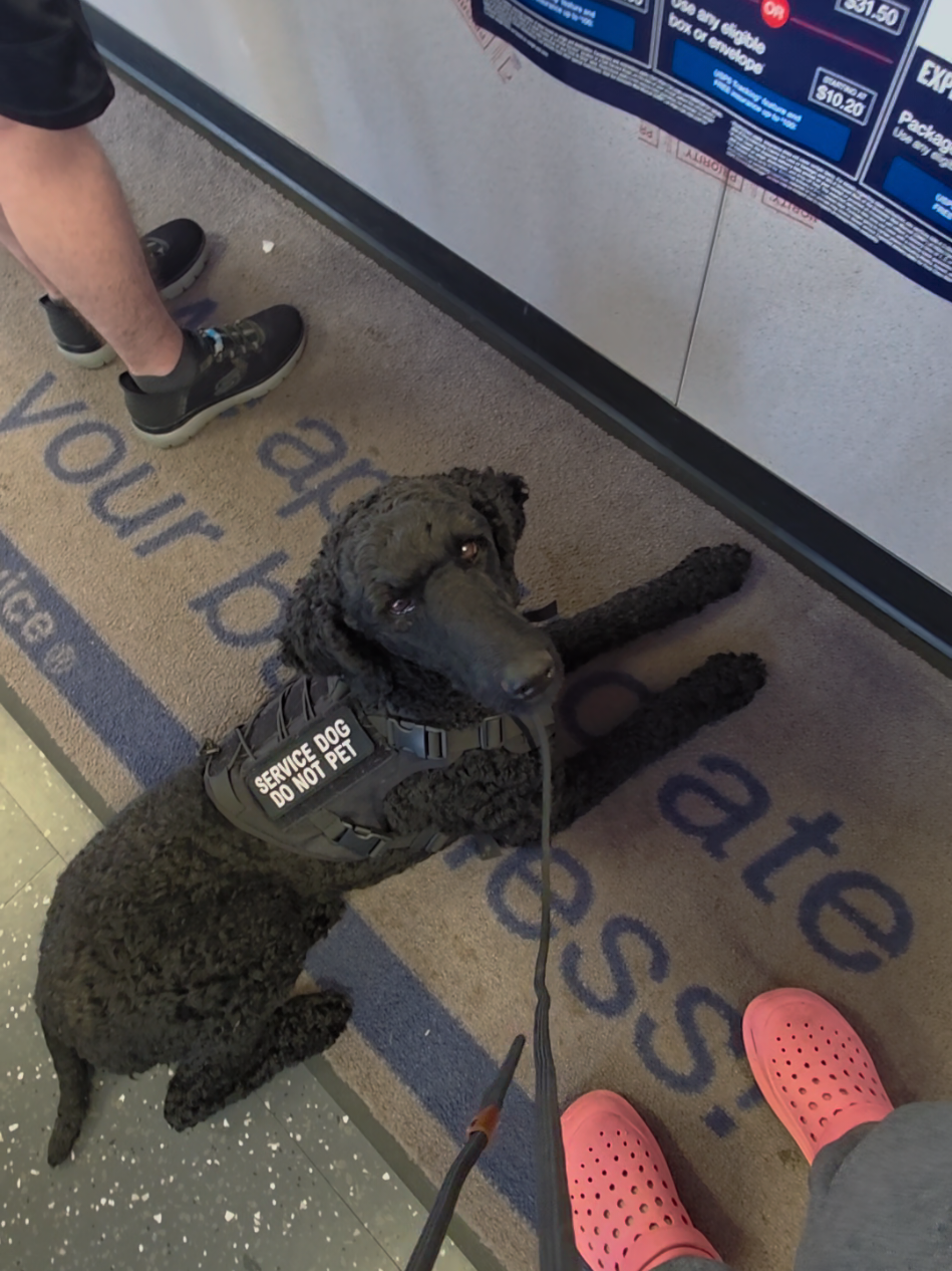 @Canine Wonders Training