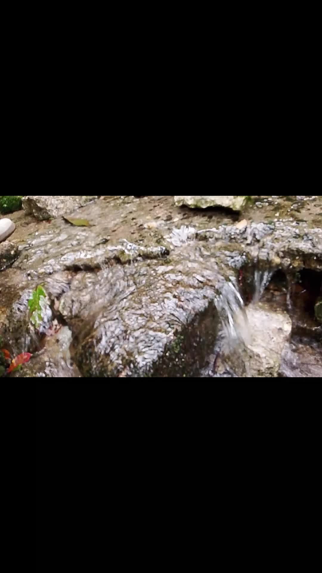 @Amrita tamang
