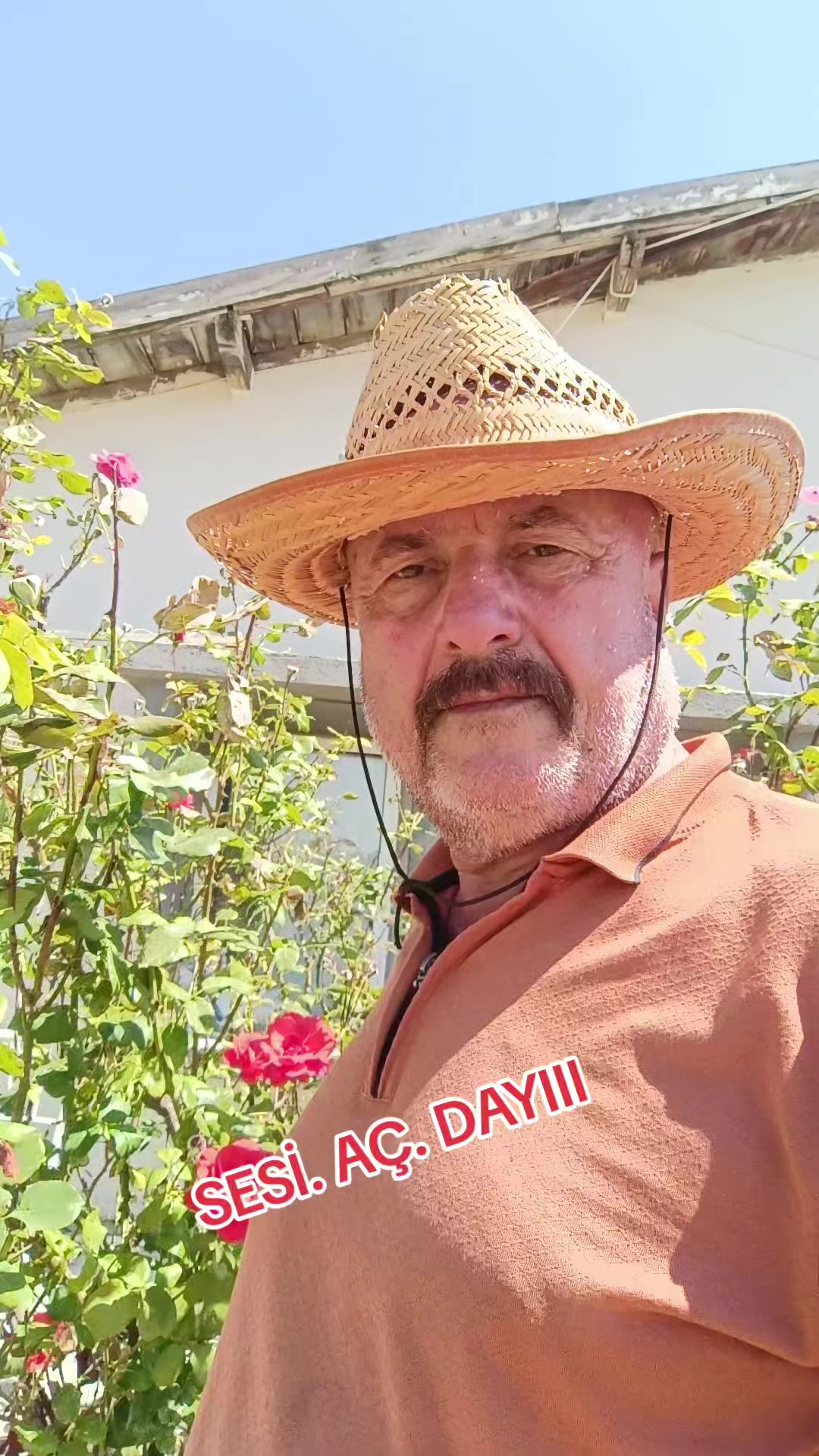 @Mehmet Sarikaş