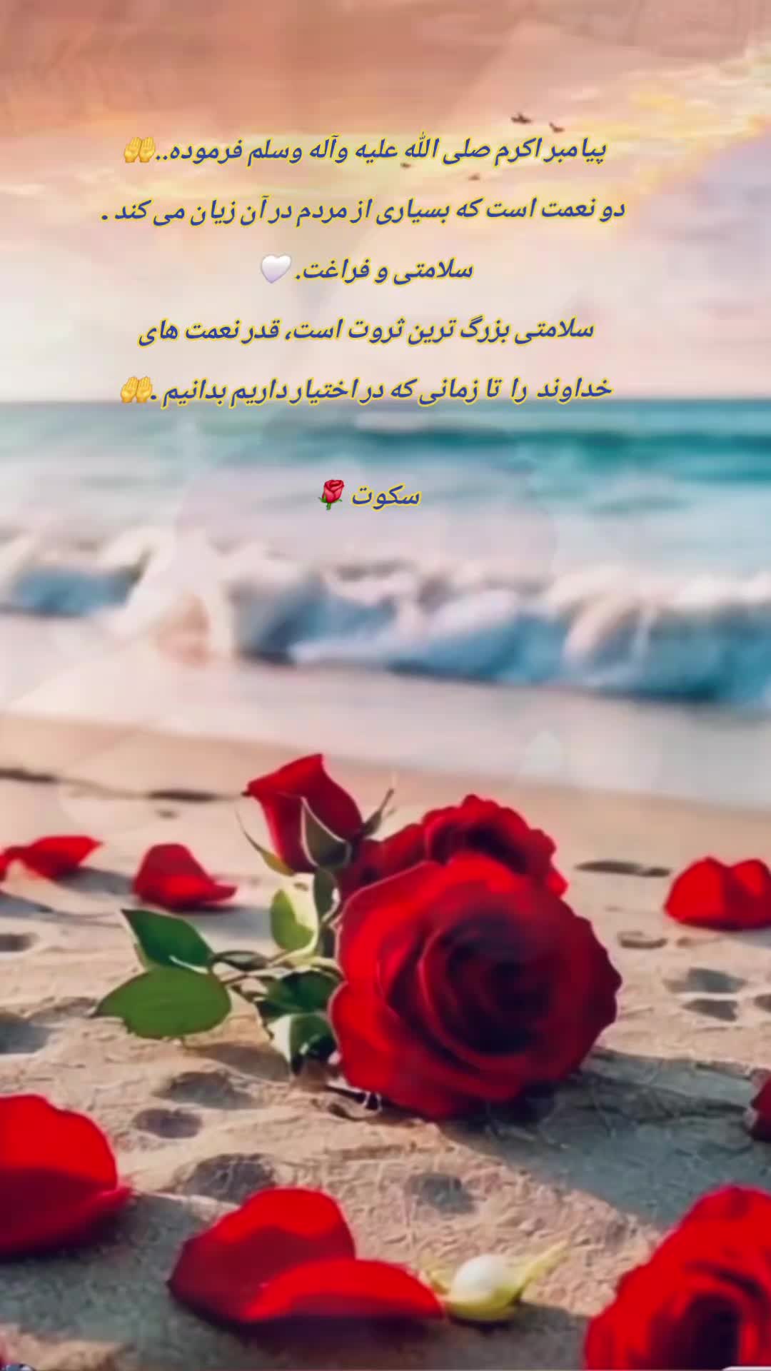 @سکوت 🌺🌺🌺
