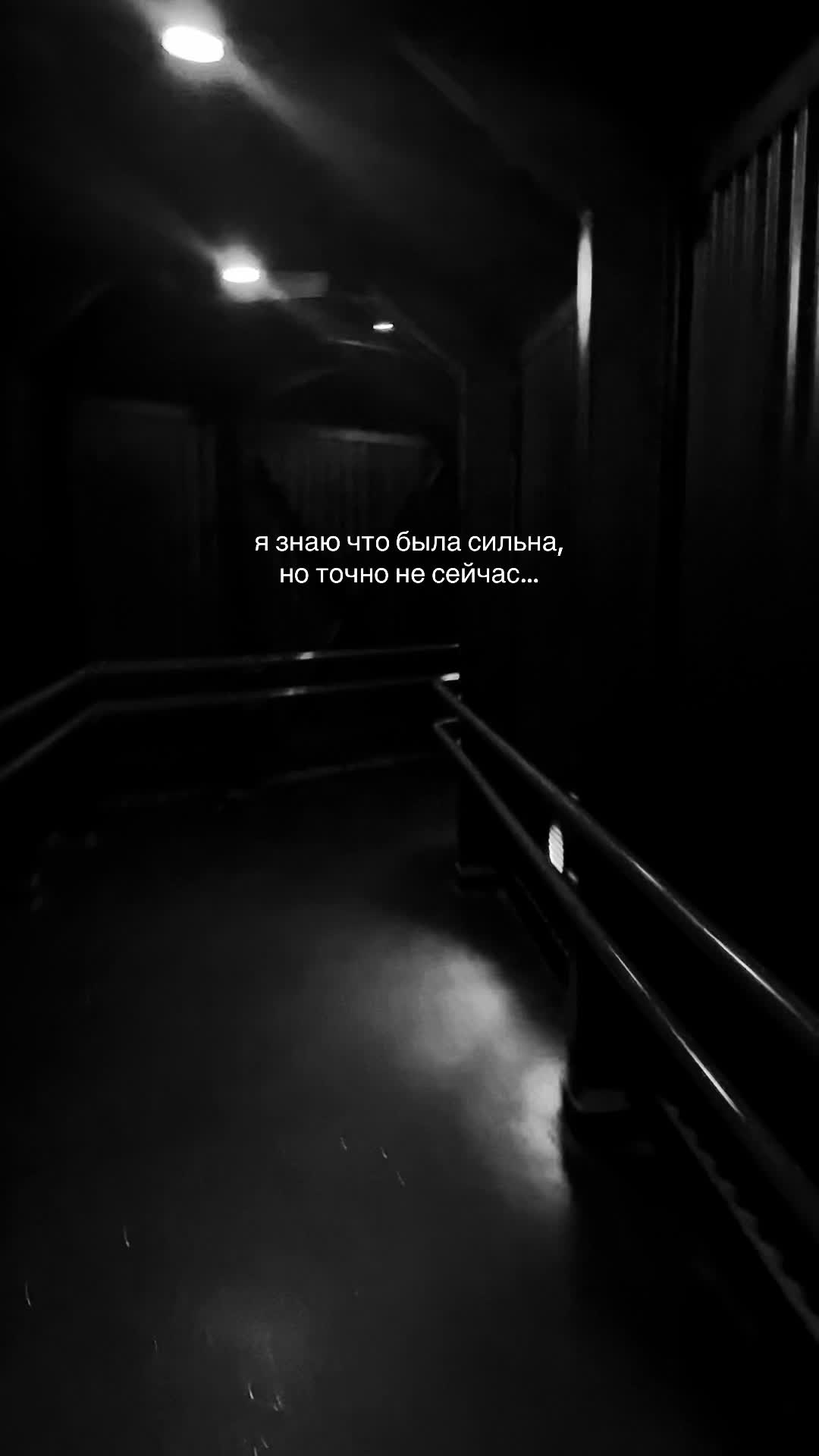 @косатка