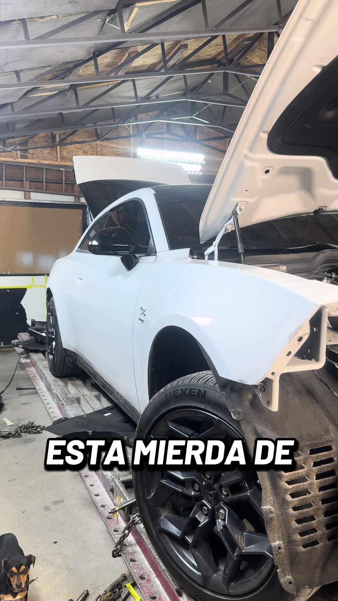 @Kenel Ortiz173