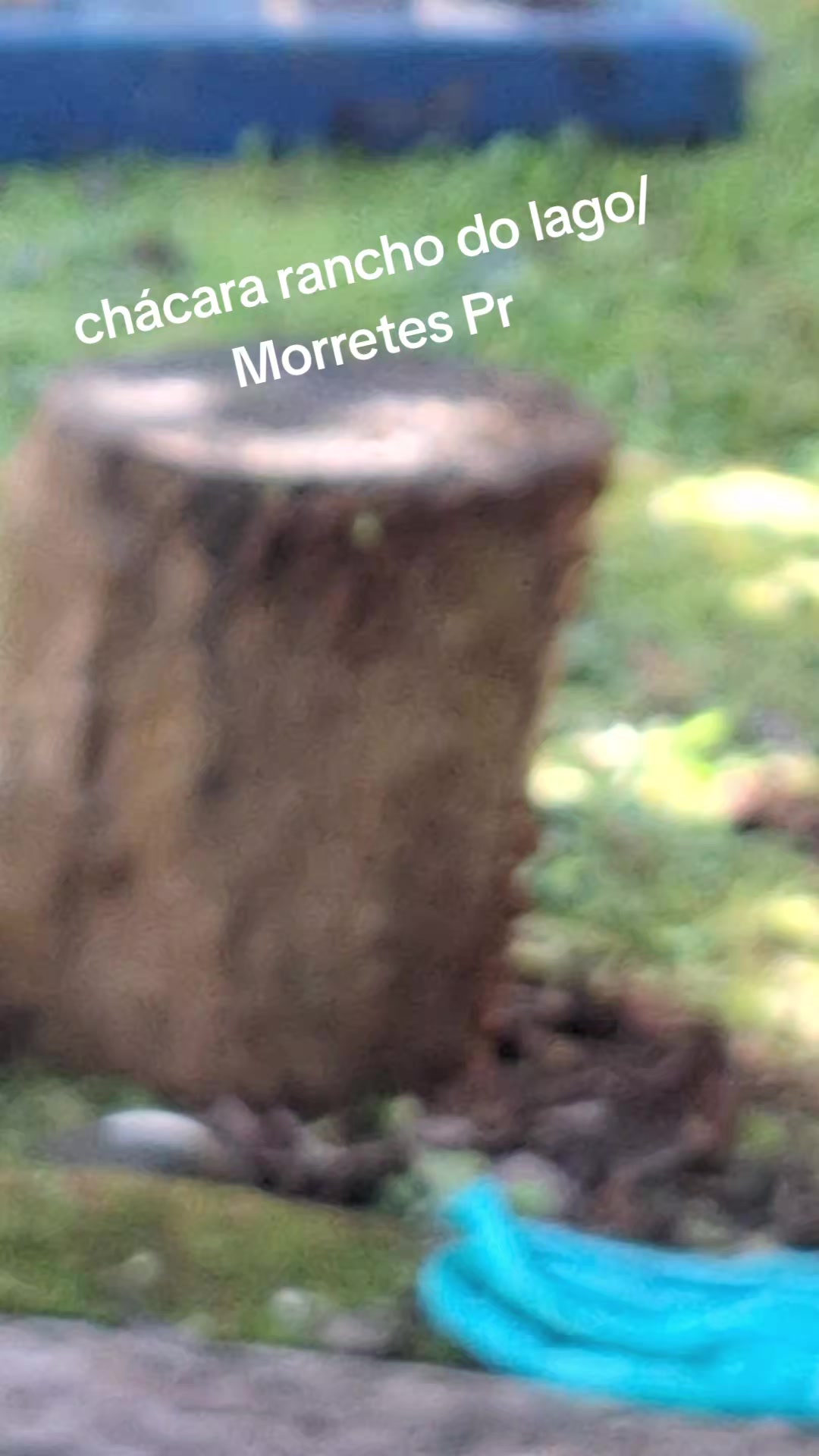 @Mara Nunes